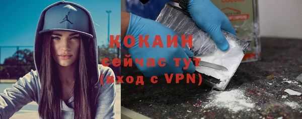 сатива Кодинск