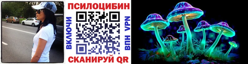 Псилоцибиновые грибы Psilocybine cubensis  Купить где  Каргат 
