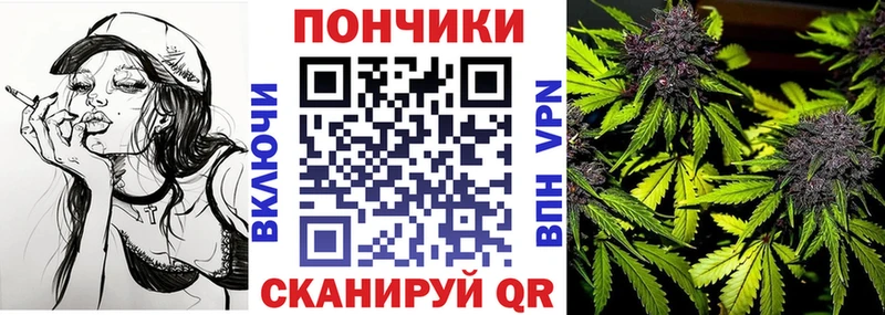 Купить закладки  Каргат  Шишки марихуана конопля 